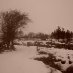 Sledrin Glen Buncrana by Patricia Doherty