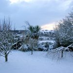 Lifford, Co. Donegal by Packie Keeney
