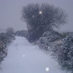 Letterkenny by Emmett Downey
