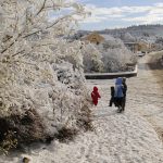 Neil ,Sean, Oisin and Grainne on their way to the village shop.