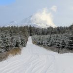 Photo of Dunlewey with Errigal in the background