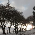 Mindoran, Clonmany