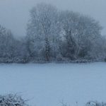 Dusk snow