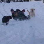 Tullygay sledging!