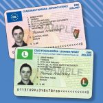 Irish Driving Licence