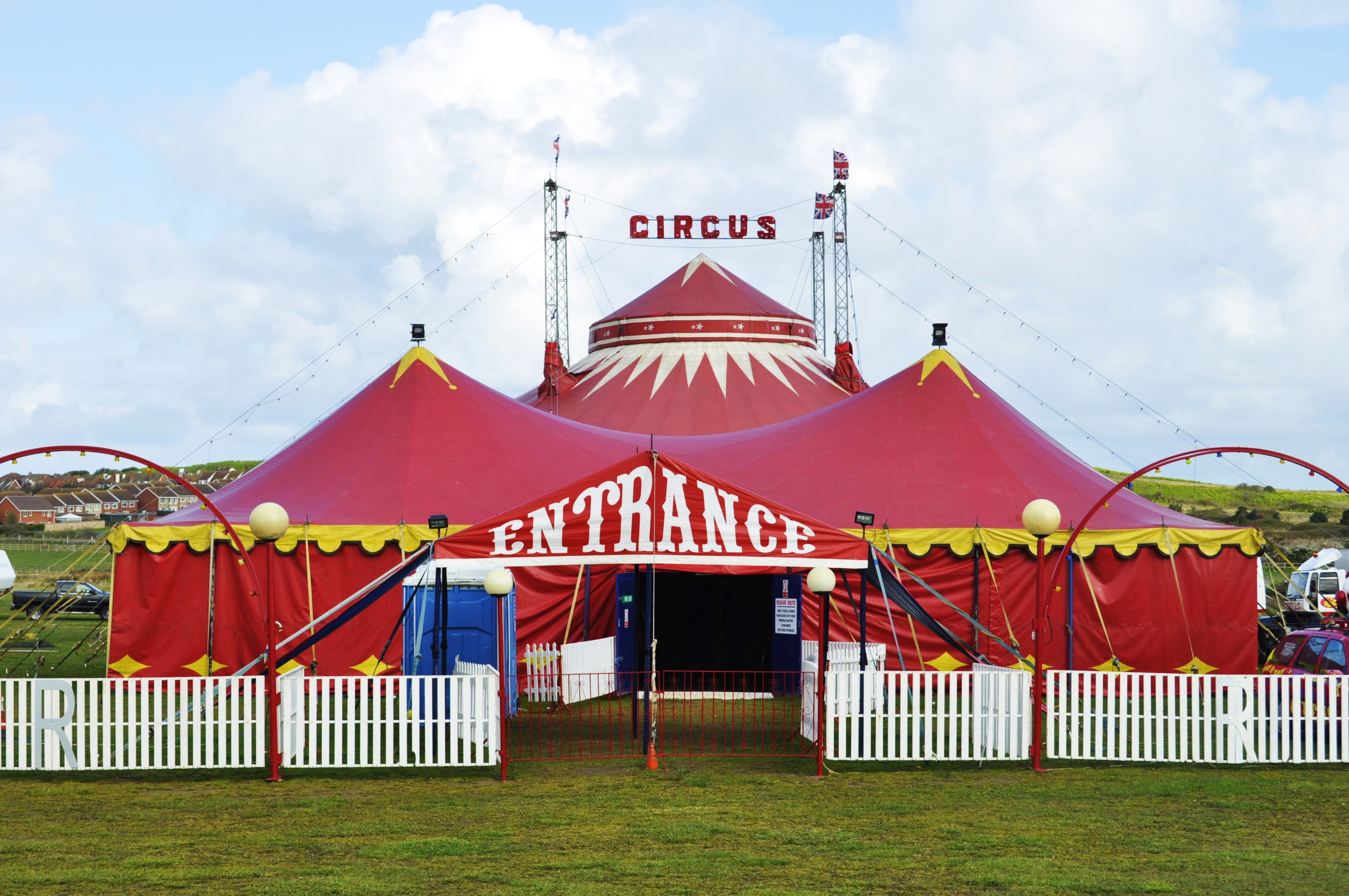 Donegal County Council to consider banning circus animal acts Donegal County Council to consider banning circus animal acts