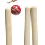 cricket-stumps