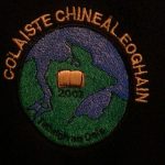 colaiste logo