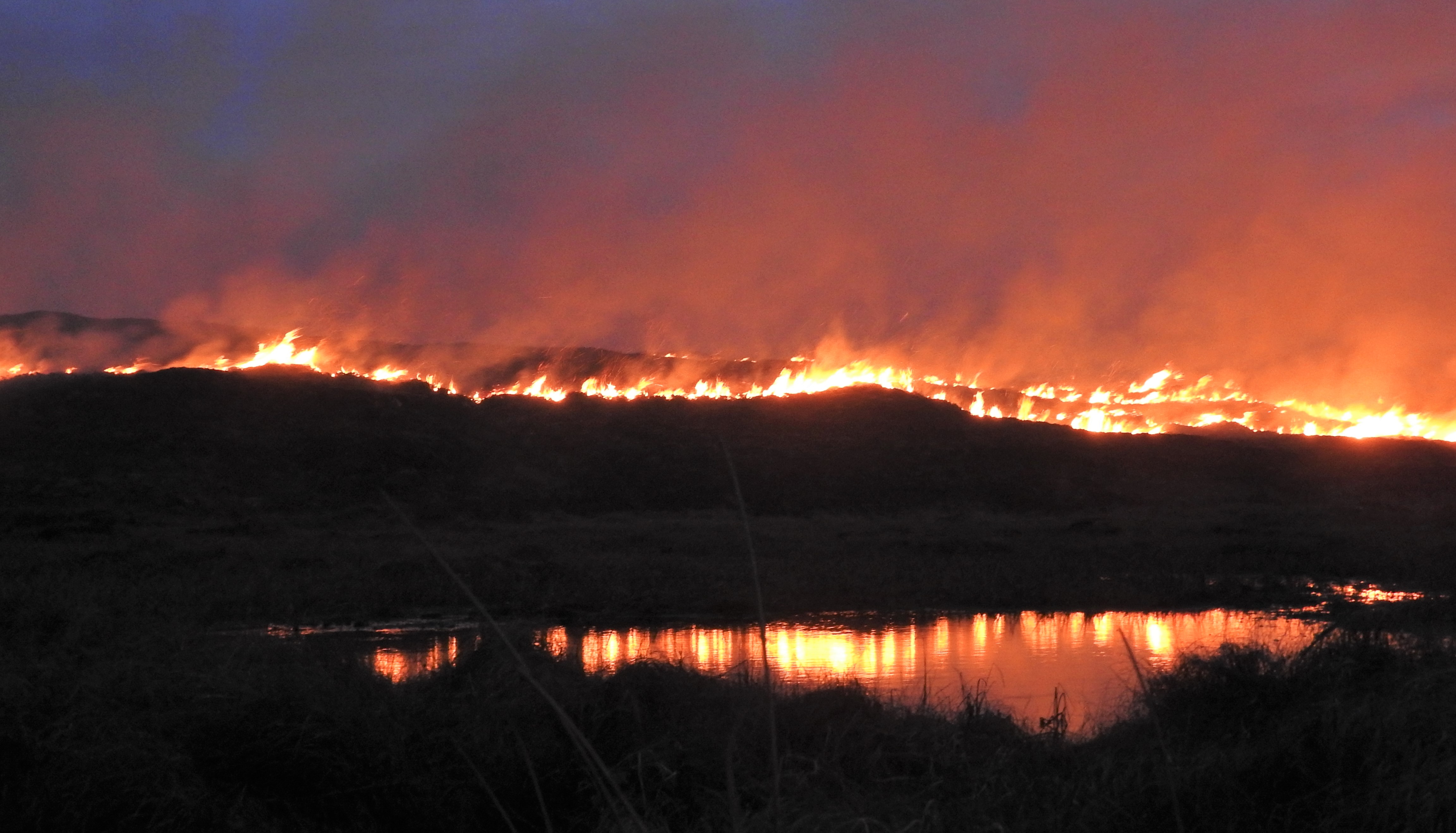 Fire blazing on hills in Redcastle this evening Highland Radio