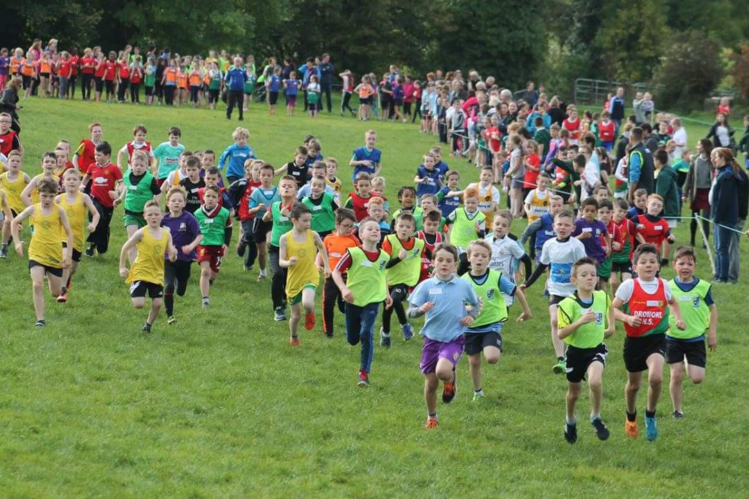 Over 700 compete at Donegal Primary Schools Cross Country Highland