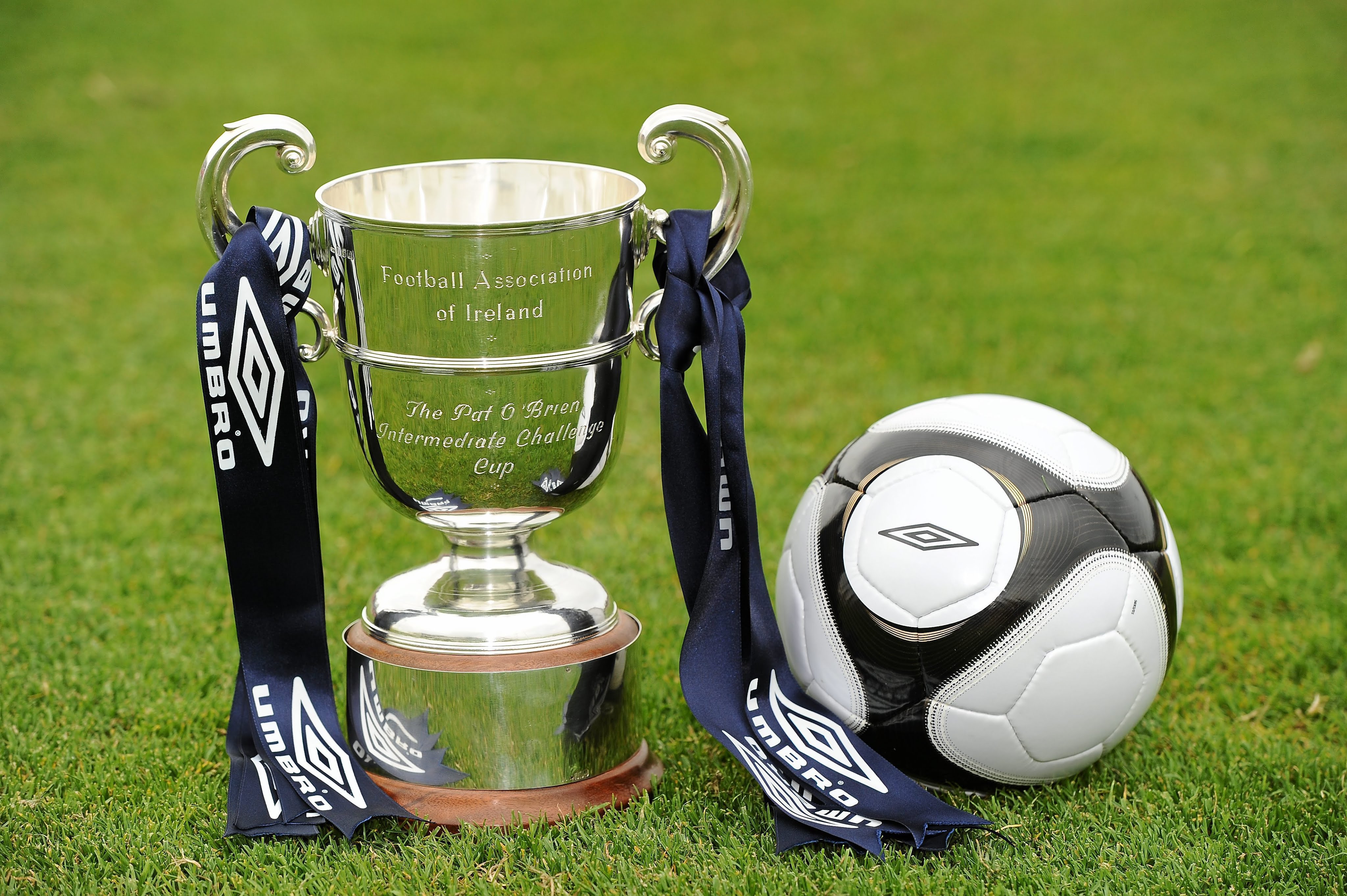 Fai intermediate cup betting on sports crypto rockets